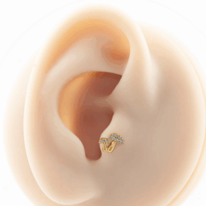 LABRET TITÂNIO R/I COGUMELOS CRAVEJADOS C/ ZIRCÔNIA - Imagem 5