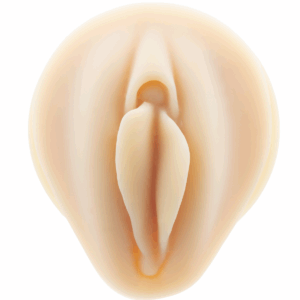 GENITAL FEMININO C/ SUPORTE TRANSPARENTE - Imagem 1