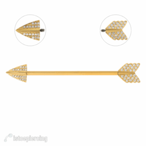 TRANSVERSAL TITANIO R/I PVD GOLD FLECHA CRAVEJADA - 1.6 X 34MM - Imagem 1