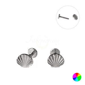 LABRET TITÂNIO R/I CONCHA - Imagem 1