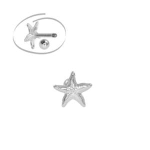 MICRO RETO ESTRELA DO MAR - BANHADO A RÓDIO - Imagem 1