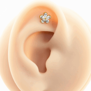 LABRET TITÂNIO R/I FLOR C/ ZIRCÔNIA MOD6 - PVD GOLD - Imagem 5
