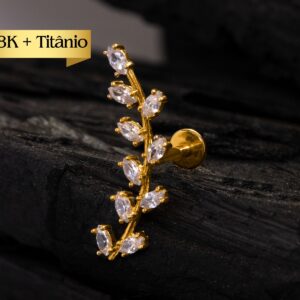LABRET R/I TOPO OURO 18K + HASTE TIT PVD RAMO - CO264 - Imagem 1