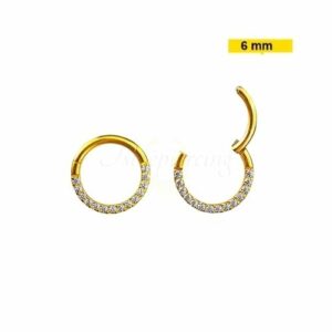 SEGMENTO CLICKER AÇO PVD GOLD FRONTAL CRAVEJADA - 6MM - Imagem 1