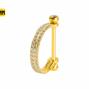 SEMI ARGOLA C/ BARRA AÇO PVD R/I 2 FILEIRAS CRAVEJADA - 10MM - Imagem 1
