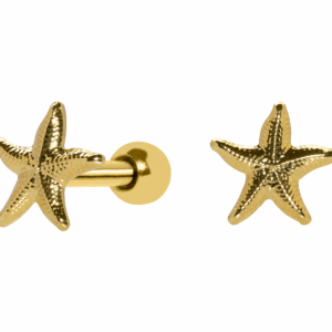 MICRO RETO ESTRELA DO MAR - BANHADO A OURO - Imagem 1