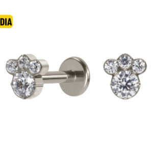 LABRET TITÂNIO R/I PATINHA MÉDIA - Imagem 1