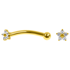 MICRO CURVO TITÂNIO PVD R/I MINI FLOR C/ ZIRCÔNIA -1.2 X 8MM - Imagem 1